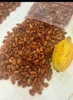 COCOA- BEANS - HISH 82  RESOURCES - Malaysia